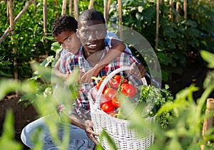 Happy family with harvest of vegetables in the garden