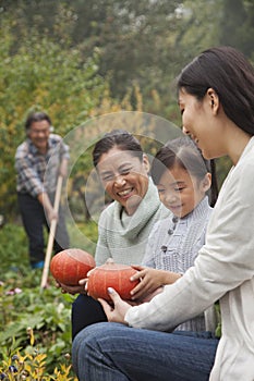 Happy family harvesting vegetables in garden