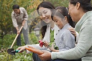 Happy family harvesting vegetables in garden, looking down