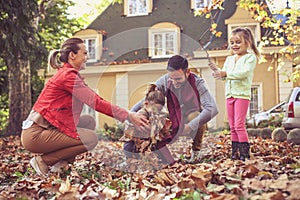 Happy family have play at front of backyard. On the move.