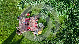 Happy family having picnic in park, parents with kids sitting on grass and eating healthy meals outdoors, aerial view from above