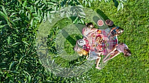 Happy family having picnic in park, parents with kids sitting on grass and eating healthy meals outdoors, aerial view from above