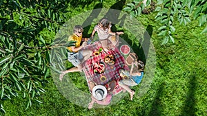 Happy family having picnic in park, parents with kids sitting on grass and eating healthy meals outdoors, aerial view from above