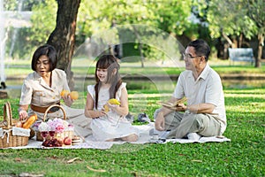 Happy family having picnic in the park with parents and kids sitting on the grass and enjoying healthy meals outdoors on