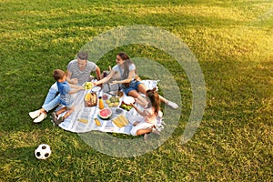 Happy family having picnic in park  sunny summer day