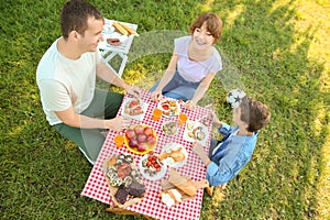 Happy family having picnic on summer day