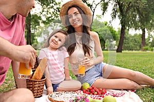 Happy family having picnic on summer day