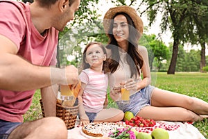 Happy family having picnic on summer day