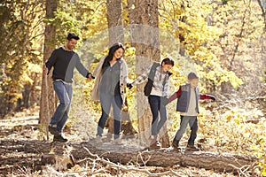 Happy family hold hands balancing on fallen tree in a forest