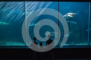 Happy family looking at fish tank