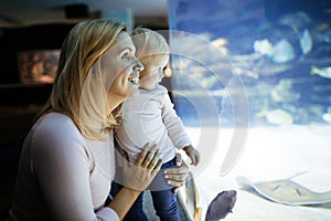 Happy family looking at fish tank at the aquarium