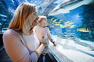Happy family looking at fish tank at the aquarium