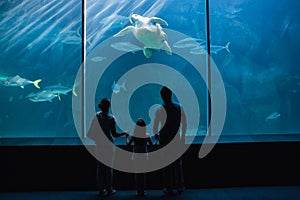 Happy family looking at fish tank