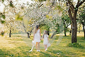 Happy family mom and daughter in a blooming apple orchard in spring