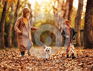 Happy family mother and little boy son walking with golden retriever puppy in park on autumn day,