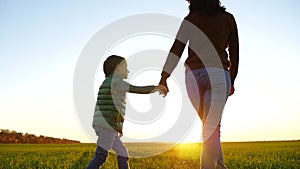 Happy family: mother and son walk across a green field against the sunset, holding each other`s hands.