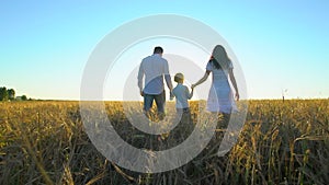 Happy family outdoors walking on wheat field with little boy. Mother, father, son child having fun on summer day