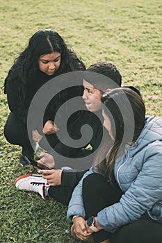 happy family in the park sitting, watching and sharing smartphones