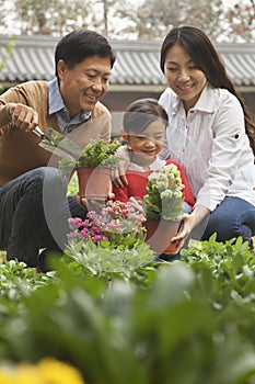 Happy family planting flowers in the garden