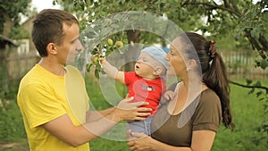 Happy family playing in the garden with the baby. Mom, dad, son, smile and laugh