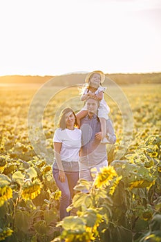 Happy family is playing, having fun on the field with sunflowers at sunset