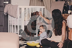 Happy family playing at home with dog. Mother and baby boy eating cookies