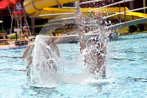 Happy family playing in swimming pool