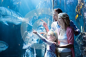 Happy family pointing a fish in the tank