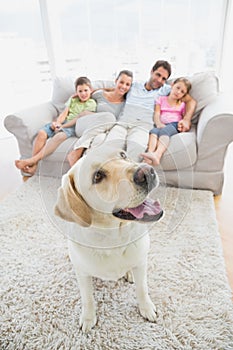 Happy family sitting on couch with their pet yellow labrador on the rug