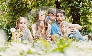 happy family sitting in high grass in spring blowing dandelion flowers