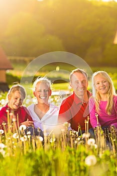 Happy family sitting in summer meadow