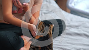 Happy family of three - single caucasian blonde mother sitting on bed holding her baby infant boy, and petting her cat