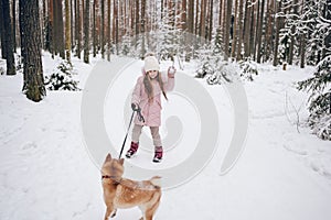 Happy family weekend - little cute girl in pink warm outwear walking having fun with red shiba inu dog in snowy white