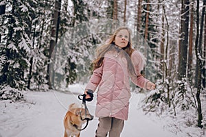 Happy family weekend - little cute girl in pink warm outwear walking having fun with red shiba inu dog in snowy white cold winter