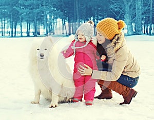 Happy family in winter day, mother and child walking with white Samoyed dog