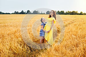 Happy family: a young beautiful pregnant woman with her little cute daughter walking in the wheat orange field on a sunny summer