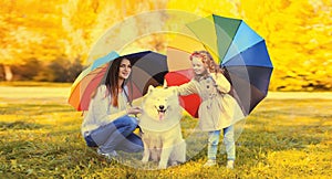 Happy family, young mother and child daughter with white Samoyed dog holding umbrella together in sunny autumn park