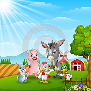 Happy farm animals in daylight