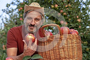 Happy Farmer With A Basket of Appetizing Red Apples Looking at Camera