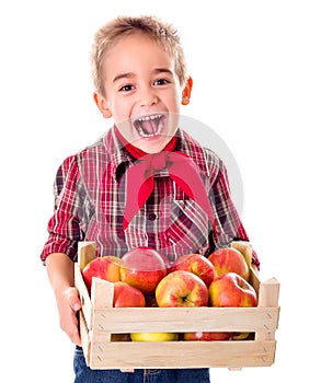 Happy farmer boy holding apples