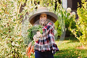 Happy farmer child girl picking fresh home growth carrot harvest