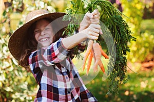 Happy farmer child girl picking fresh home growth carrot harvest from own garden