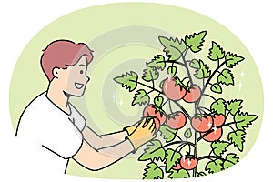 Happy farmer collect crop in garden