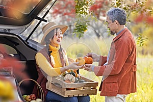Happy farmer family carrying organics homegrown produce harvest with apple, squash and pumpkin while selling at the car trunk in