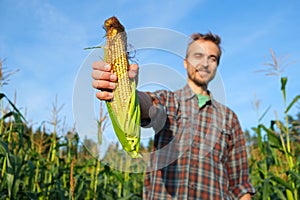 Happy farmer with fresh corncob on corn field. Harvest season. Handsome smiling man agronomist showing ripe maize to camera