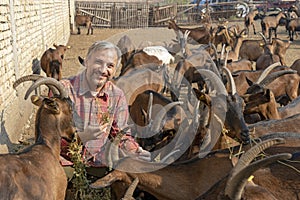 Happy Farmer With Goats - Goat Whisperer