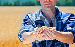 Happy farmer holding ripe wheat corns