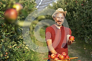 Happy Farmer with Straw Hat Giving Red Apple in Sunny Orchard