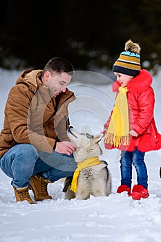Happy father with daughter on a walk in the woods, girl and husky in yellow scarves, bright clothes in winter