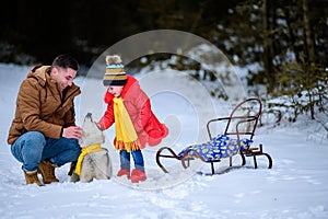 Happy father with daughter on a walk in the woods, girl and husky in yellow scarves, bright clothes in winter.